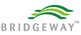 Bridgeway Capital Management Blue Chip Investing